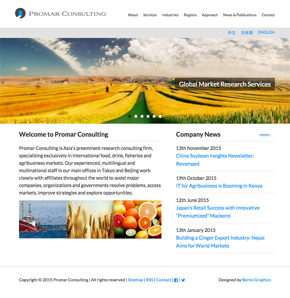 Promar Consulting - Homepage English
