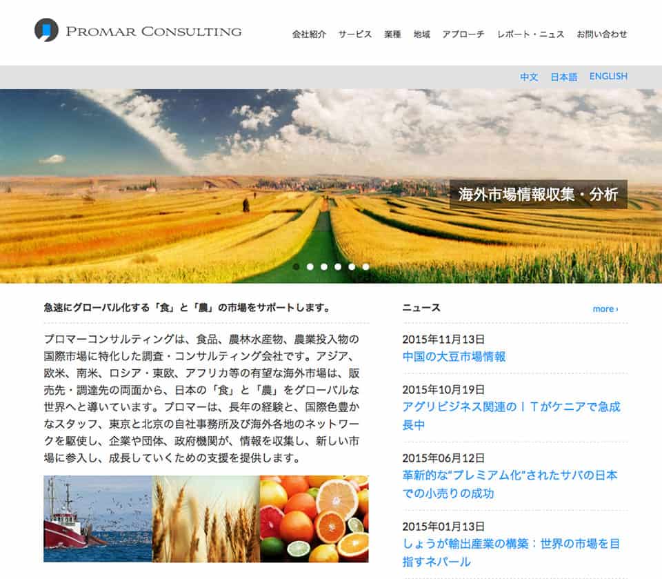 Promar Consulting - Homepage Japanese