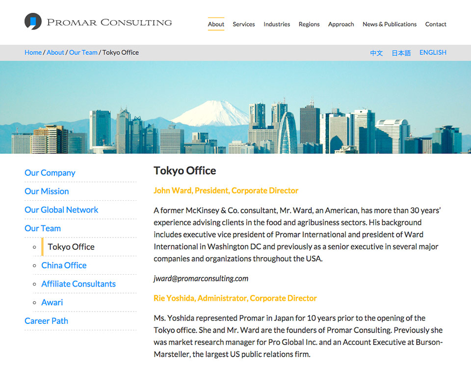 Promar Consulting - Website - About Page