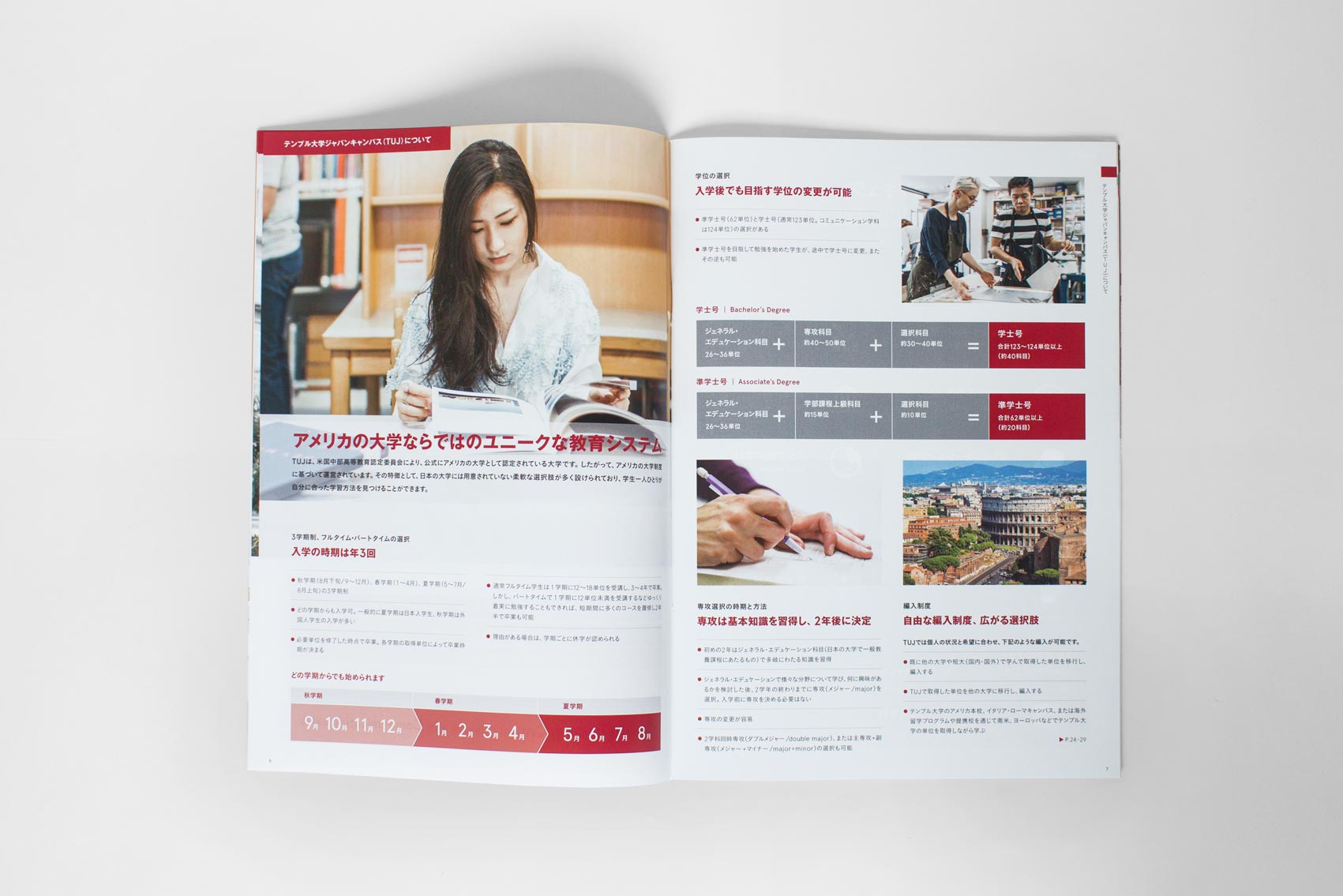 Temple University Japan in Tokyo - English Japanese Undergraduate Brochures - Print Layout Design Illustration