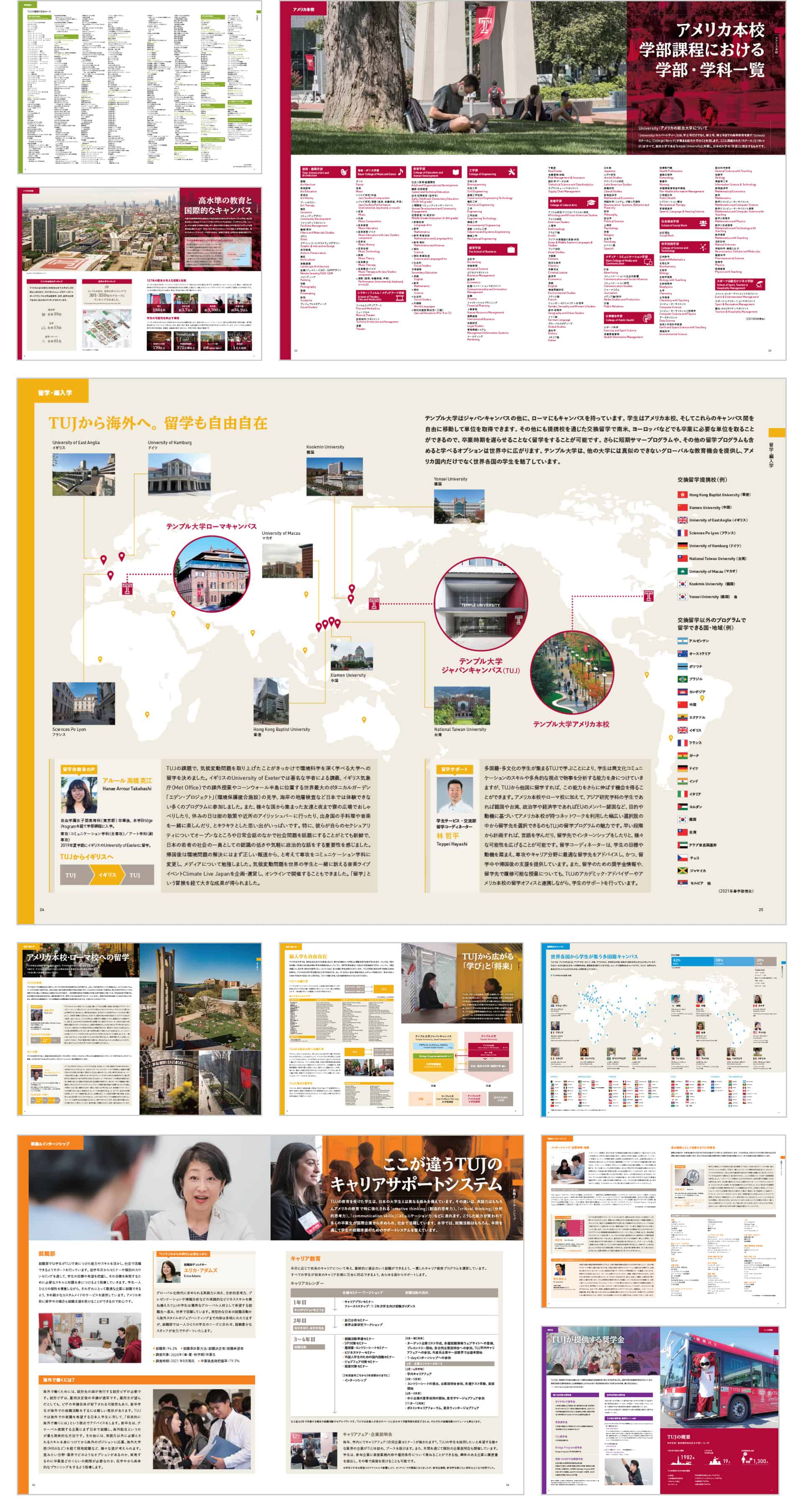 Temple University Japan - Undergraduate Brochure - Graphic Design Layout Print Japanese